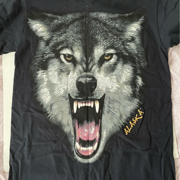 5 T-Shirts. Mystery T-Shirt Packs. May include vintage, new, and or preowned. - Picture 7 of 16